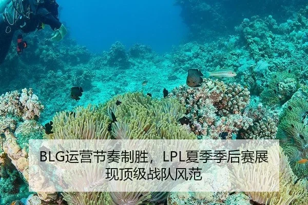 BLG运营节奏制胜，LPL夏季季后赛展现顶级战队风范
